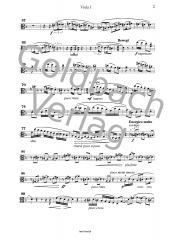 Passacaglia und Fuge - Viola 1