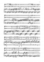 Trio III - Satz (Pi, Kl, Vc)